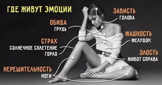 Как тело хранит наши истории: неожиданные связи между эмоциями и физическим состоянием