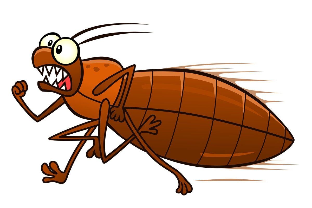 ���������� � ���������: ��� �� ����� ���� �������� �����������