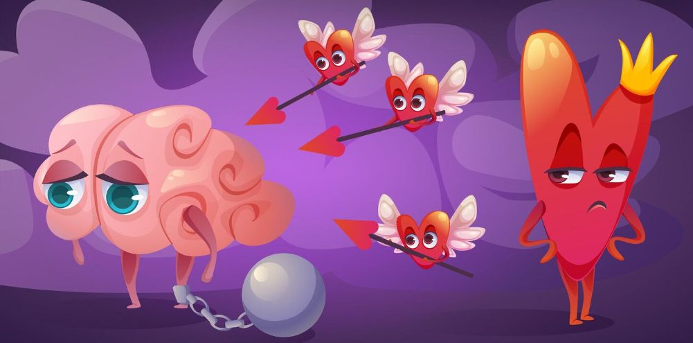 ��� ������ �� �������� �����������: ����� ������ �����