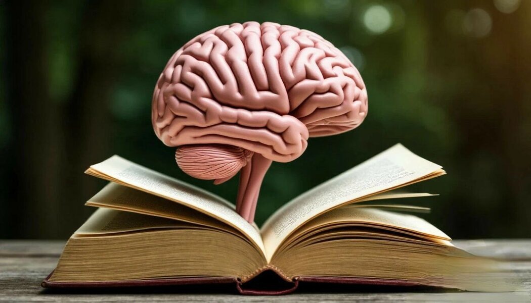 Чтение и мозг: как книги формируют наш внутренний мир