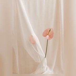 Как найти близость: шаги к открытым отношениям