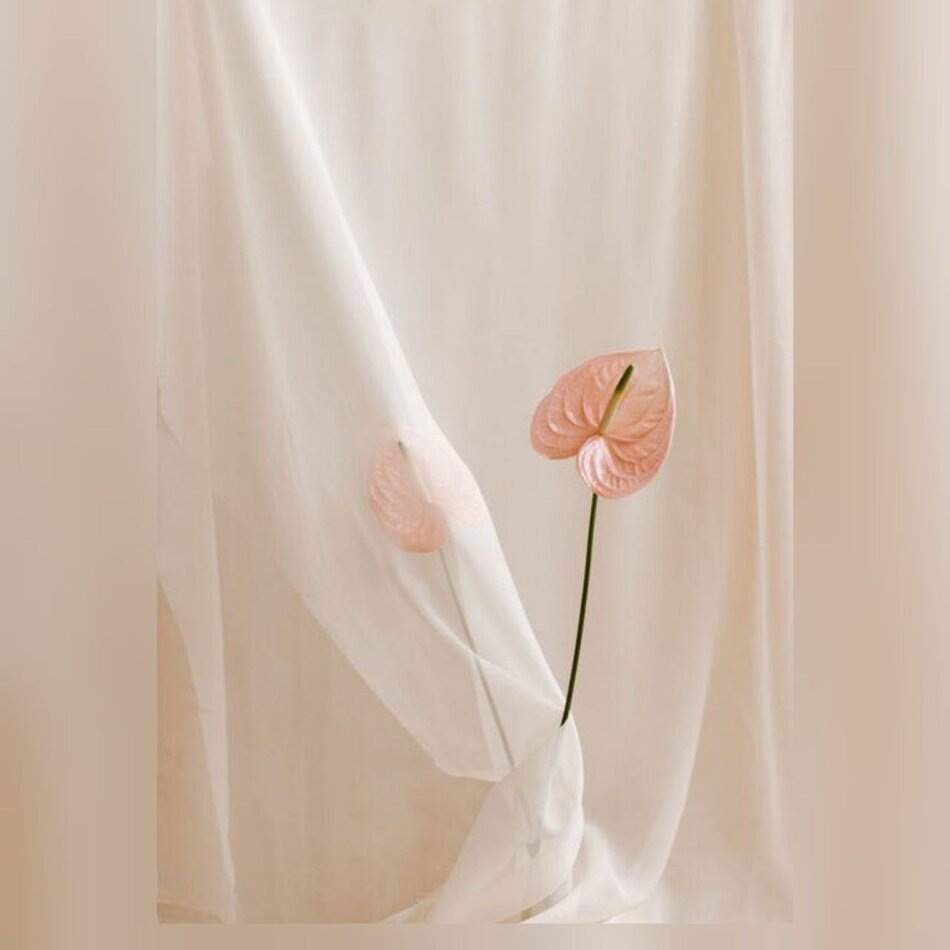 Как найти близость: шаги к открытым отношениям