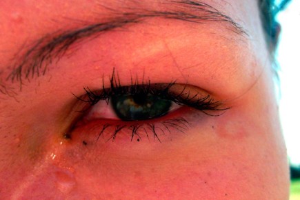 ���� ��� ����: ������� ���� ������������ ������