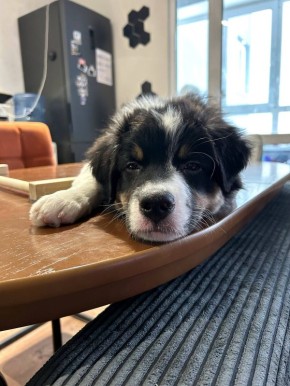 Когда дружба не складывается: возможно, стоит попробовать отдохнуть