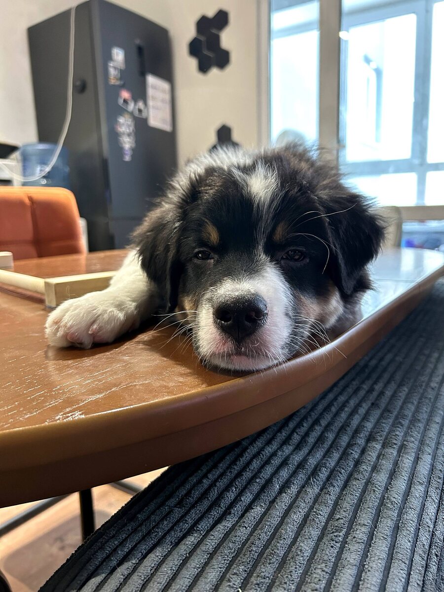 Когда дружба не складывается: возможно, стоит попробовать отдохнуть