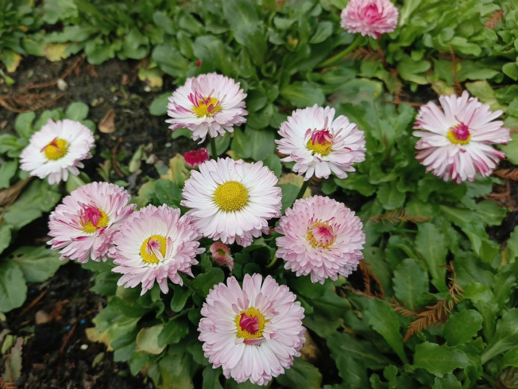 �������� ������ ������: ��� ������ ����� ���������