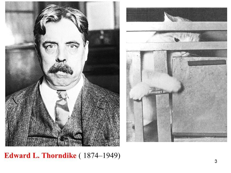 Метод проб и ошибок: Как он зародился и что означает