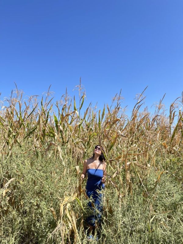 ��� ���������� �������������: ���� � ����