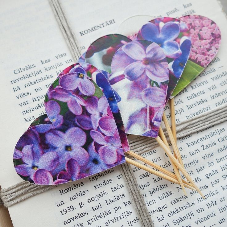 Пять шагов к счастью: как изменить жизнь к лучшему