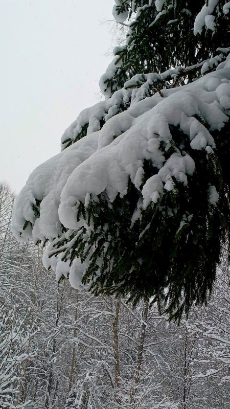 Когда зимняя сказка встречает любовь в сети