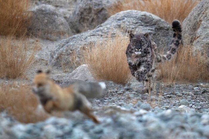 ��������� �����������: �����, ����� ������