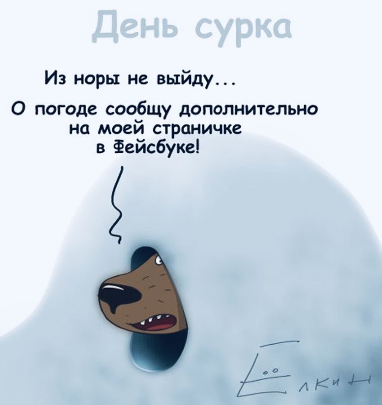 Технические сбои на Дзене: что происходит с каналами