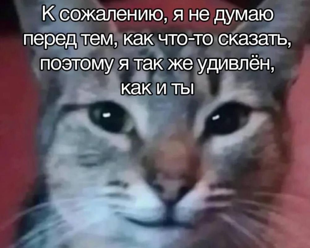 ������� � ������� ����: ��� ������ ������ �� �������