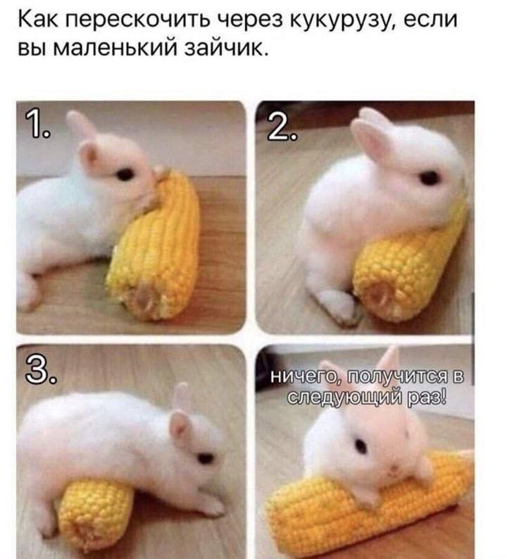 Чужой успех: как избежать ловушки сравнения