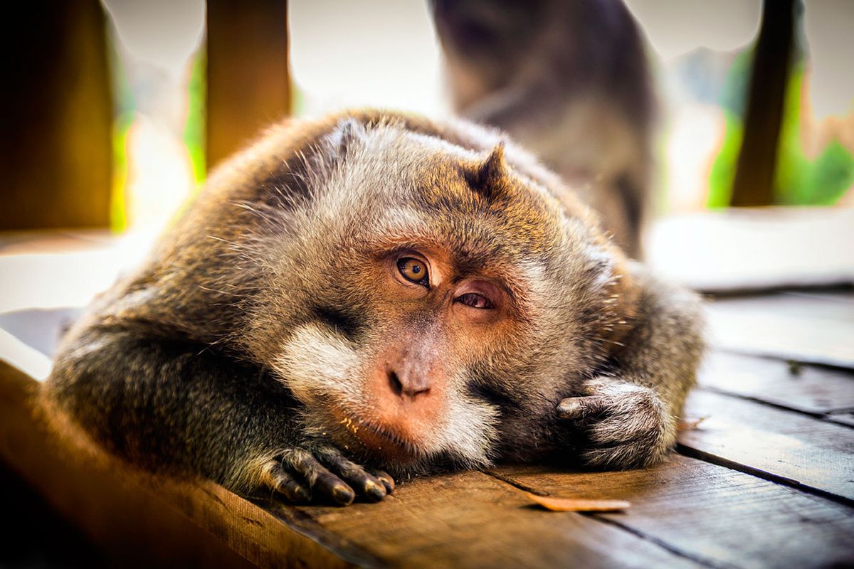 ���������� � �������: ��� �� ��������� ���� ����� ������