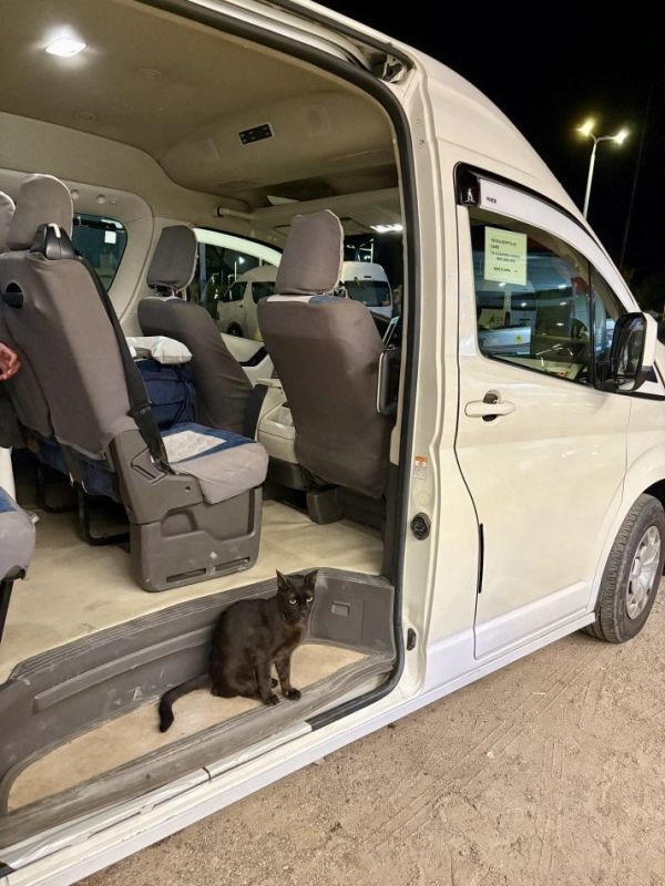 Как преодолеть разочарование у границы: история о фрустрации и мечтах