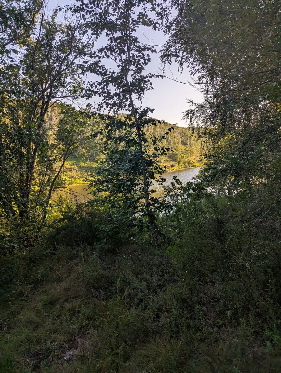 Как найти свои смыслы и научиться жить по-настоящему