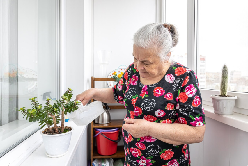 Как услышать мудрость бабушки и изменить жизнь в лучшую сторону