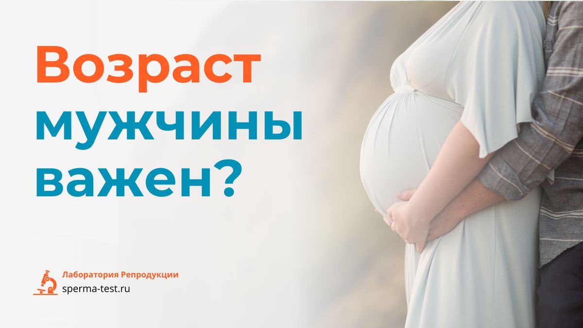 ��� ������� ���� ������ �� ������������: ��� ����� ����� �������� ����� 35