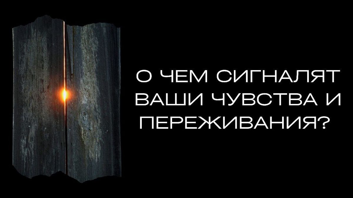 ��� ����������� ����� �������� ���� �����