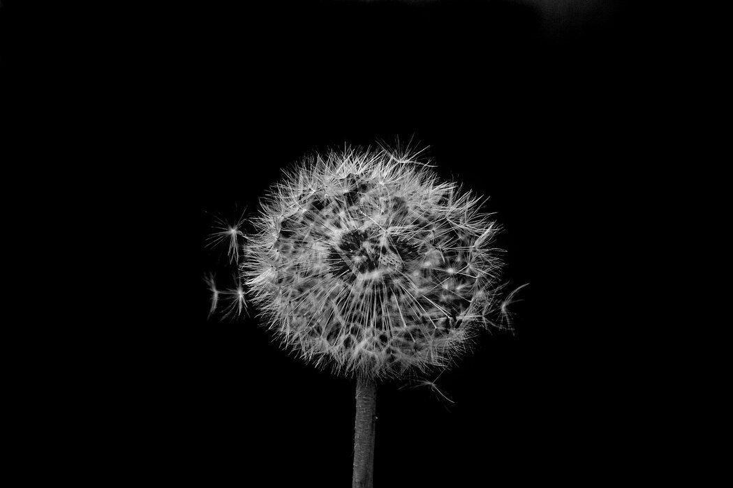 Потерянные души: Взрослые и их внутренние дети