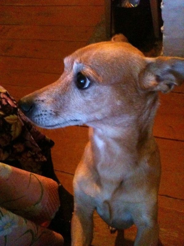 Проблемы одиночества: что мешает завести друзей и как это исправить