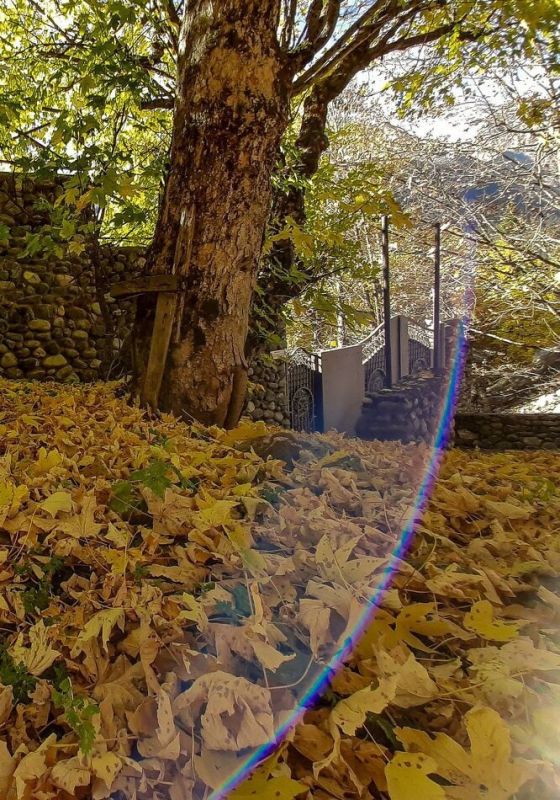 ����� ���� ���������� ������������: ��� ������� �������� � ���������