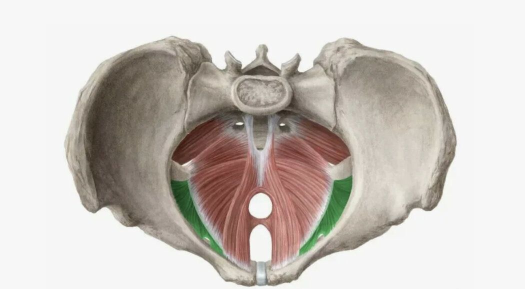 ����� ���������� � ������ �������� ��� ��� �������� ��������?