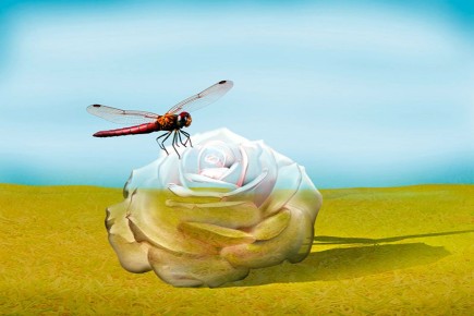 ������ ������� �� ��������� ������� ������ � ��� ��� ������� � ��� ���������� �����