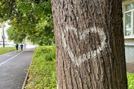 ������ � ��������� ����� ������ ���������� �������: ������ ���������