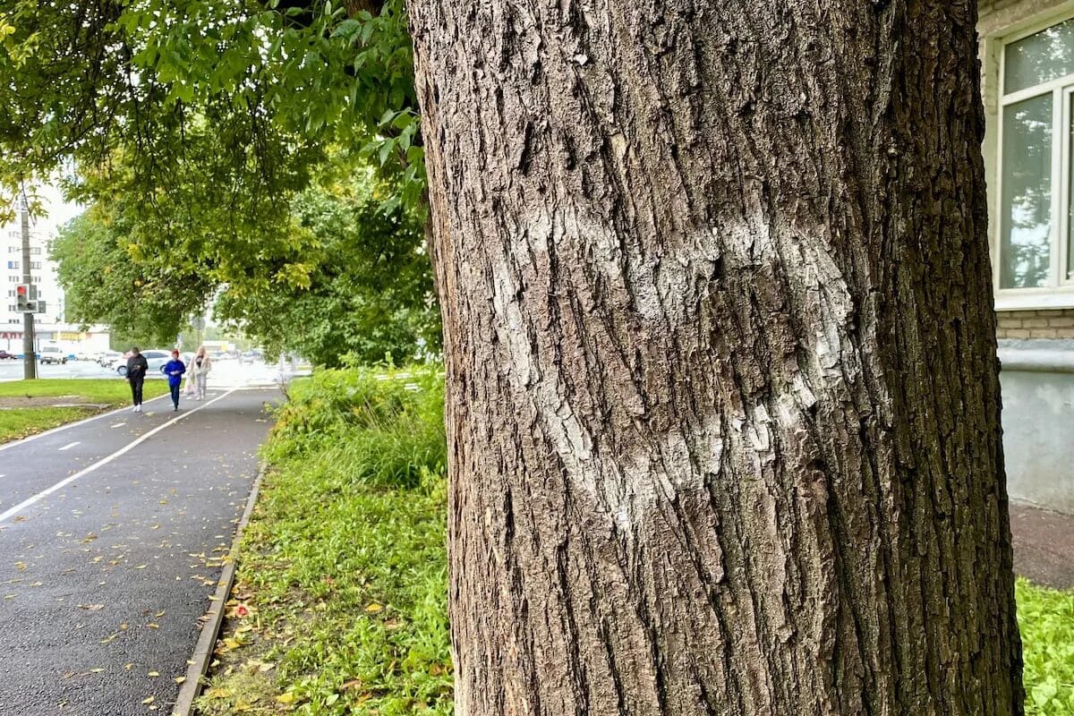Почему с возрастом найти любовь становится сложнее: взгляд психолога