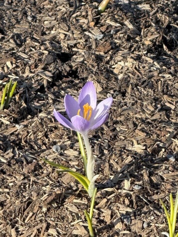 �����: ����� ����������� � ����� ���������