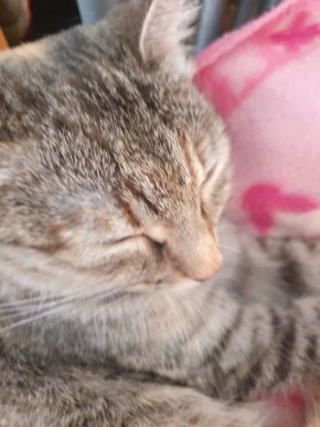 ��� ������ ��������� ��� �������� � �������