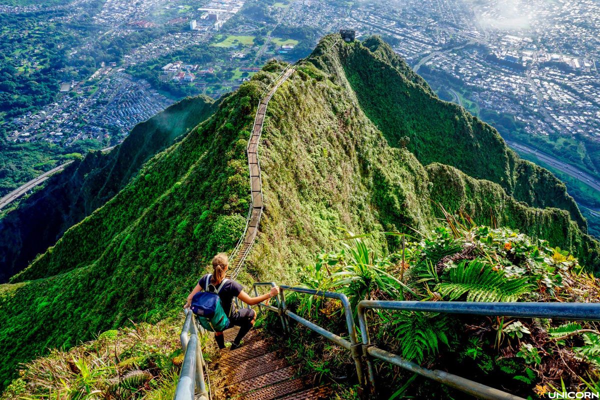 ��� ����� ����: ������� ����������� �����