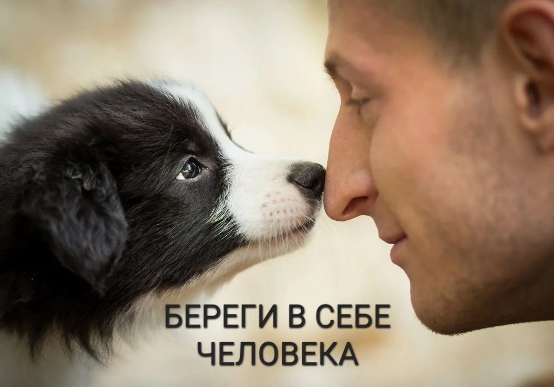 ������� �������: ��� ����� ���� ���� � ���� �������