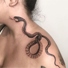 ���� �� ���: ���������� � ��������������� ��������� �� ������� ������