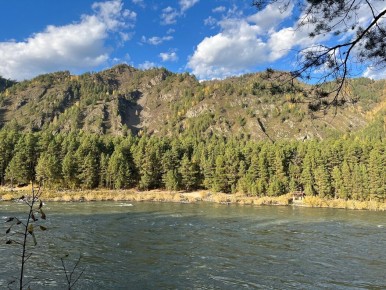 ���������� �������: ��� ����������� � �������� ����� �������