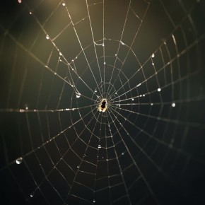 ����������� � ������������ �����: ��� �� ���������� � ����������