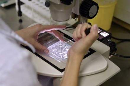 ��������� ��� �������� �������� �������� �� ������� ���������