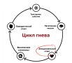 Как управлять гневом: практические советы для повседневной жизни