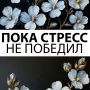 Как справляться с хроническим стрессом и наладить жизнь