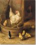 Как незаметно растет уверенность: история одной курицы и ее цыплят