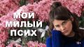 Разводя токсичность: психология в фильме «Мой милый псих»